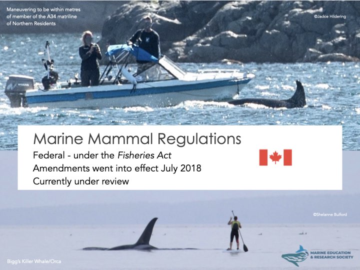 ‎Media Matters 2025 03 28.‎003