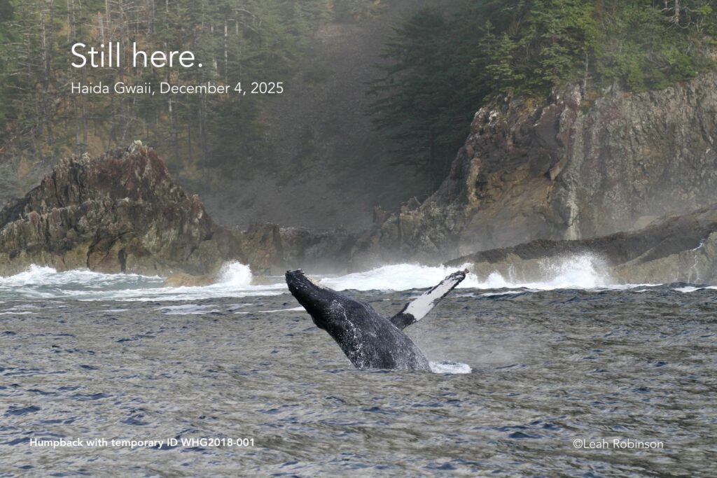 600974434 1266410078856132 6015690330336520893 n