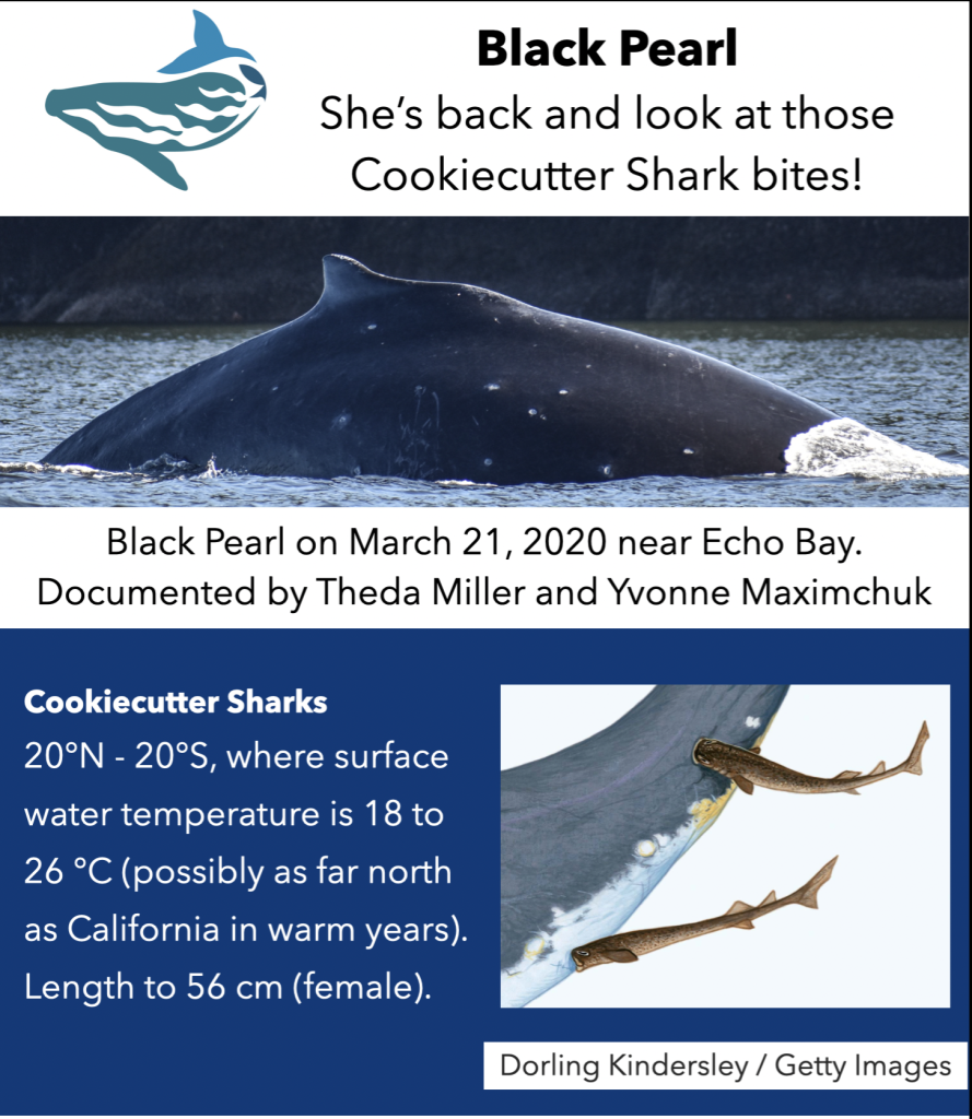 Screenshot 2026 01 28 at 18.25.13